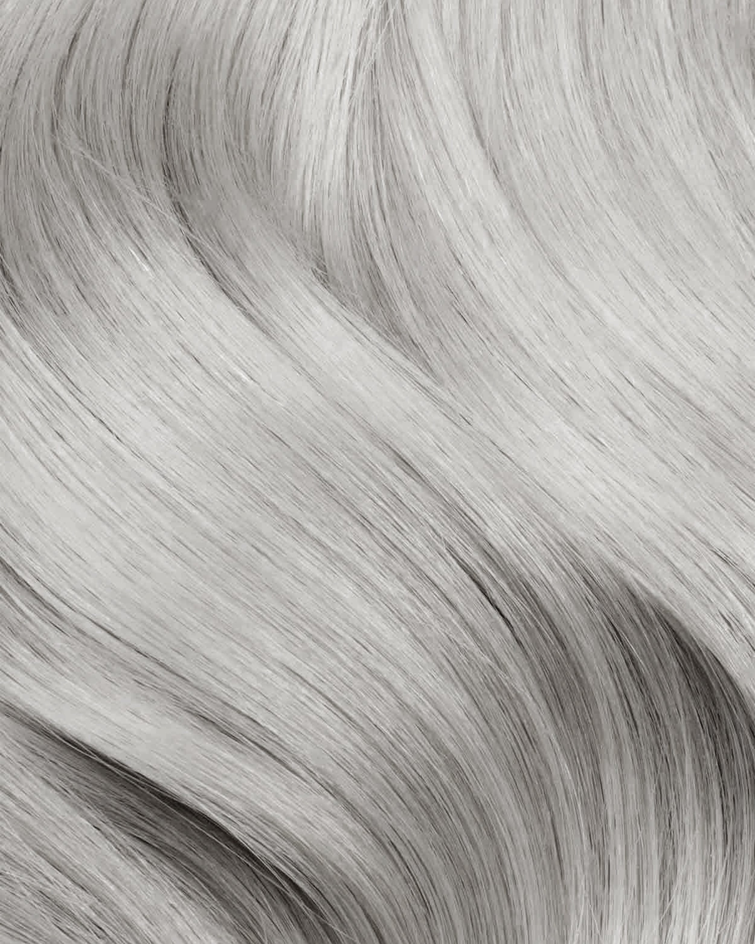 Close-up of gray hair strands