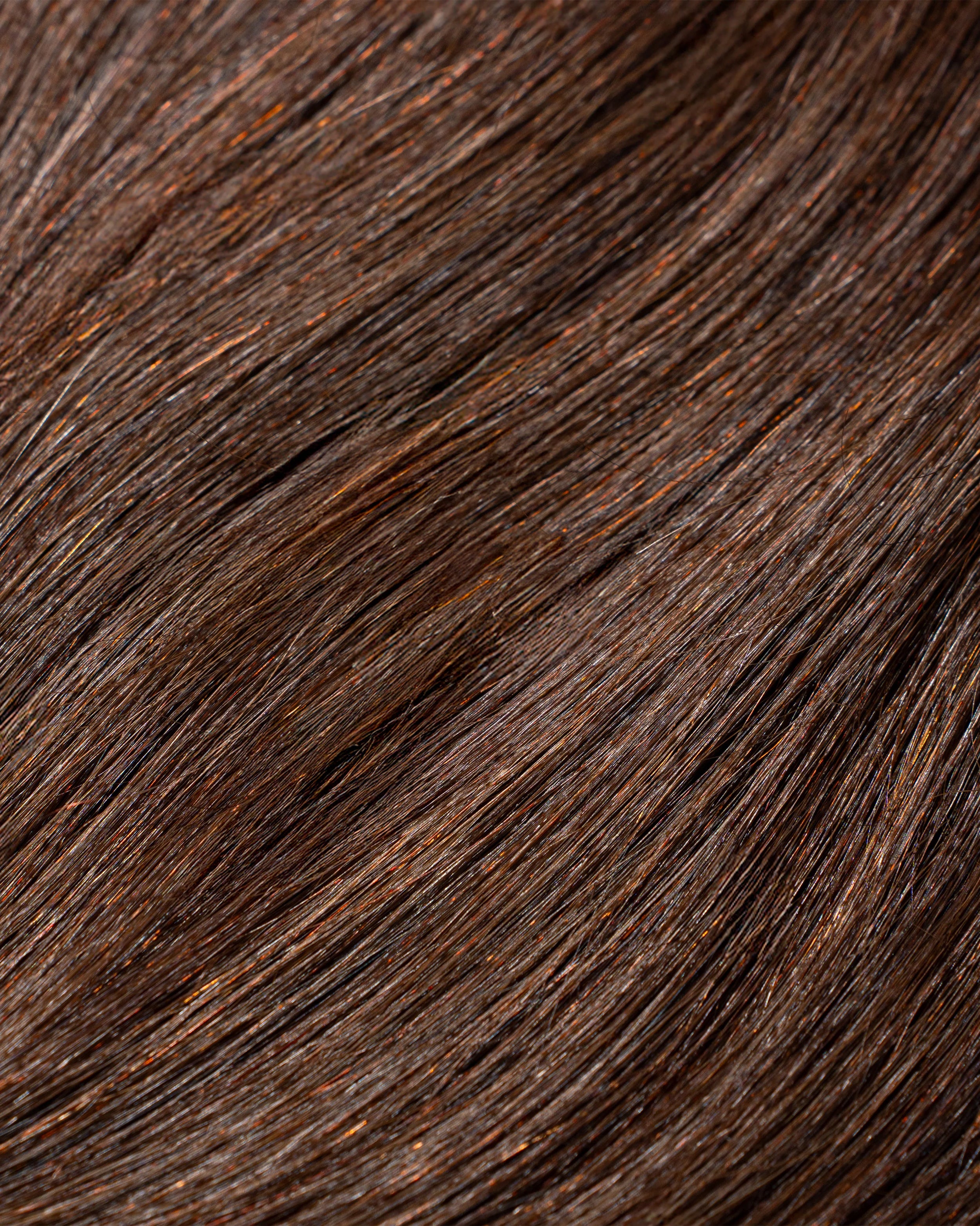 Close-up of dark brown hair strands